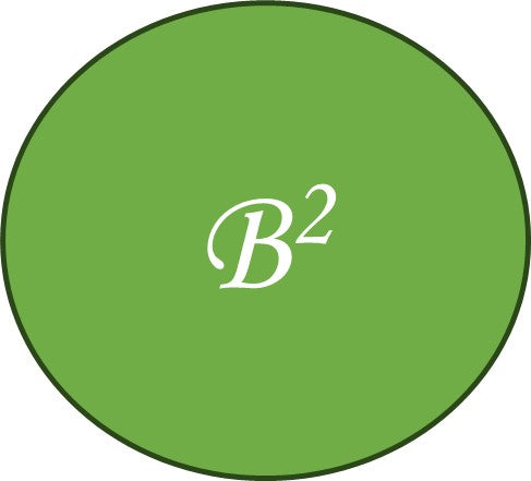 B2 design 